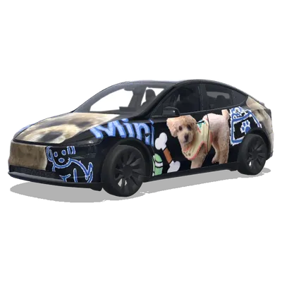 愛犬Mini主題（우리집 강아지 미니） – 特斯拉 Model Y 塗裝