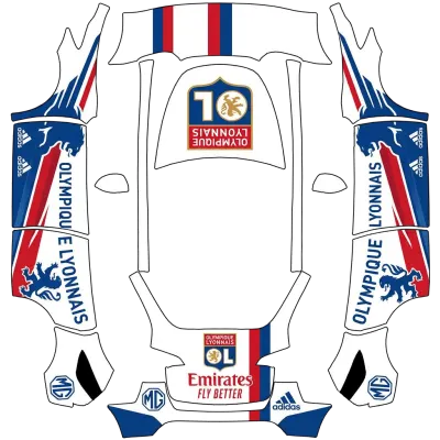 OL – Tesla Model Y Wrap