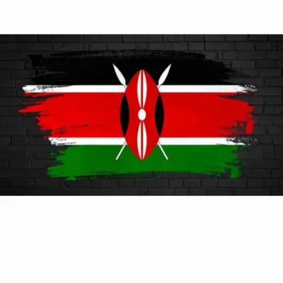 Кенийский (kenyan) – оклейка Tesla Model Y