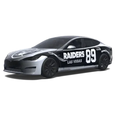 Housse de carrosserie Raiders 89 – covering Tesla Model S