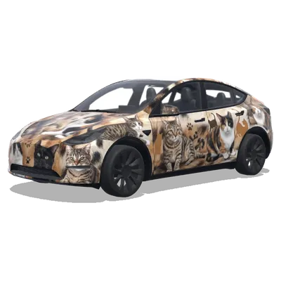 Custom Cat Wrap – Tesla Model Y wrap