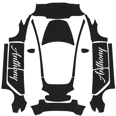 螞蟻（Ant） – 特斯拉 Model 3 塗裝