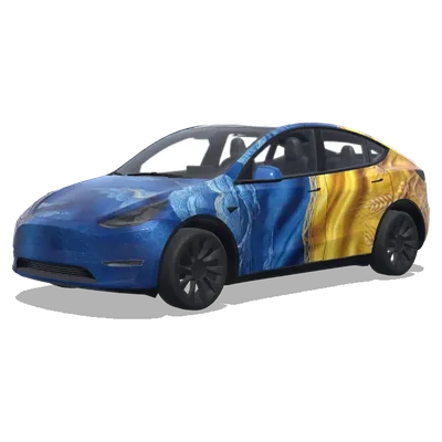 Blaugold-Weizenfeld – Tesla Model Y Wrap