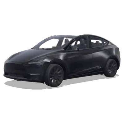 ルーパー・ミラー黒 (루프필러와 백미러를 검정색으로 바꿔줘) – テスラ Model Y ラッピング