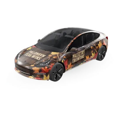 Tessiiee – Tesla Model 3 Wrap