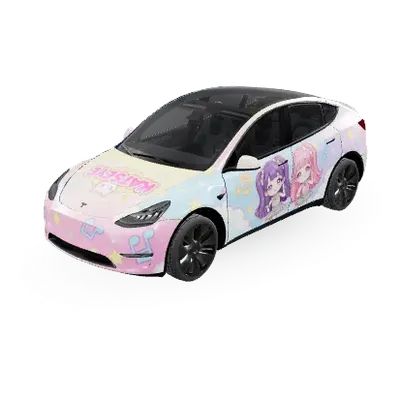Catseye – Tesla Model Y Wrap