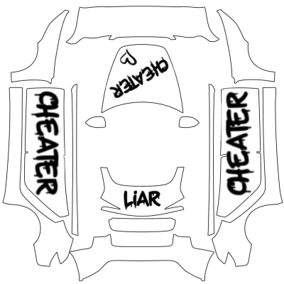 CHEATER – covering Tesla Model 3