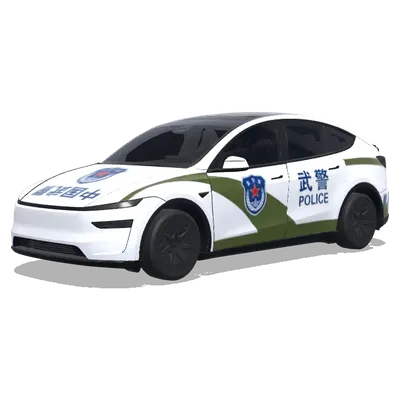 Chinesische paramilitärische Polizei (中国武警) – Tesla Model Y L Wrap