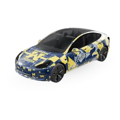 ミシガン (Michigan) – テスラ Model 3 ラッピング