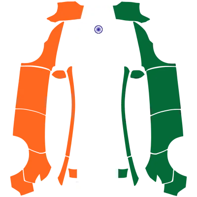 Inde (India) – covering Tesla Model Y