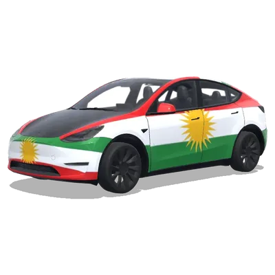 Курдский флаг (One big kurdish flag on each side nice cool) – оклейка Tesla Model Y