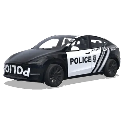 Оформление автомобиля «Кинологическая служба полиции» – оклейка Tesla Model Y
