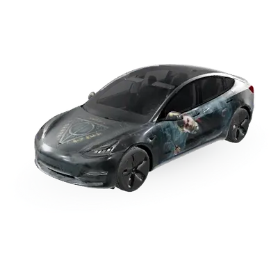Harry Potter (harry potterr) – Tesla Model 3 Wrap