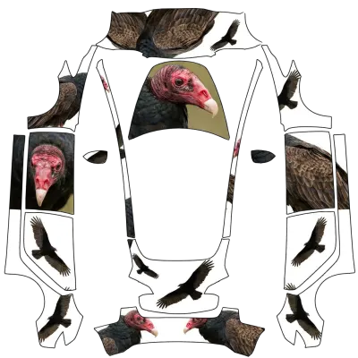 칠면조 독수리 (Turkey Vultures) – 테슬라 Model 3 랩핑