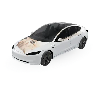 Ада (Ada) – оклейка Tesla Model 3