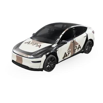Appa – оклейка Tesla Model Y