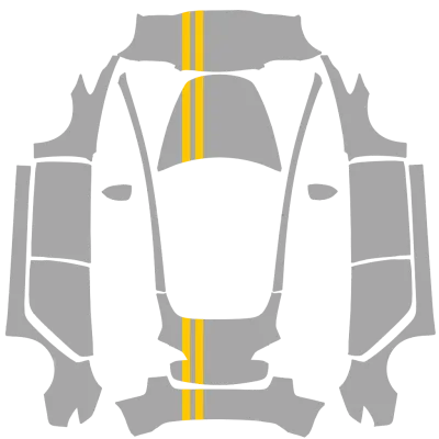 双黄条纹（Double yellow stripe） – 特斯拉 Model 3 涂装