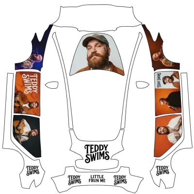 Teddy – covering Tesla Model 3