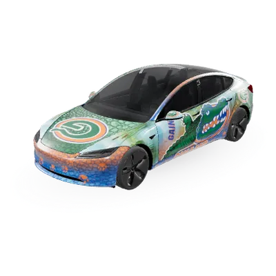 Gators 1 – covering Tesla Model 3