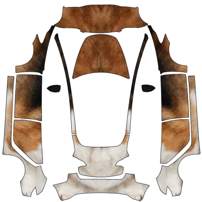 Corgi – Tesla Model 3 Wrap