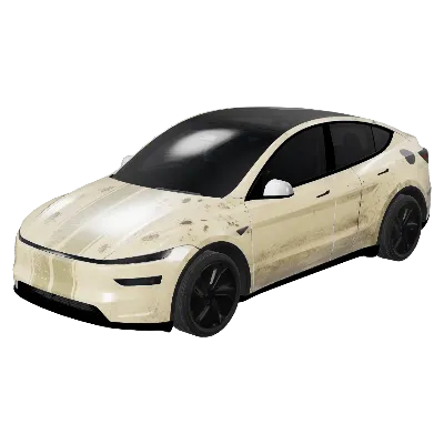 벌레 자국 랠리 (Bugsplatter Rally) – 테슬라 Model Y 랩핑
