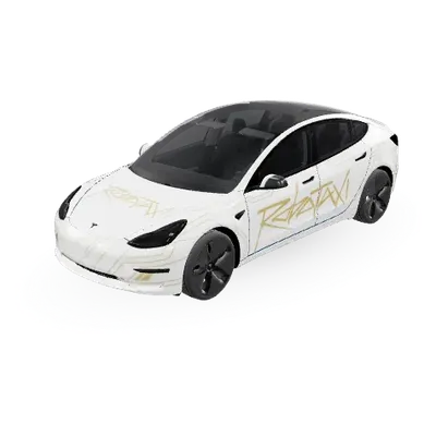 Robotaxi – covering Tesla Model 3