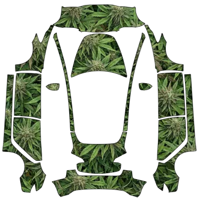 Fleur de Cannabis (Ganja flower) – covering Tesla Model 3
