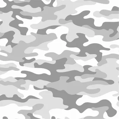 白色迷彩2（White Camo 2） – 特斯拉 Model 3 塗裝