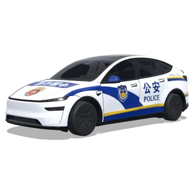 Blaue Polizei-Swoosh (中国公安) – Tesla Model Y L Wrap