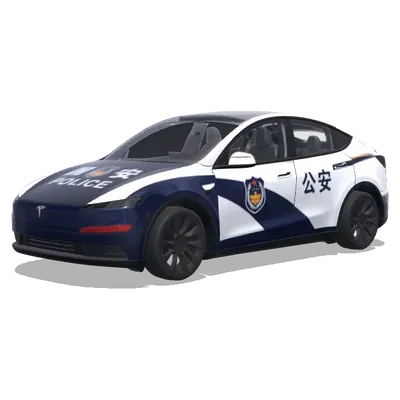 Voiture de police 国安 (上面有标注国安的那种警车样式) – covering Tesla Model Y