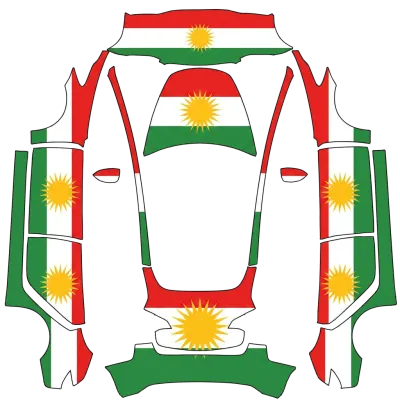 Roshan – оклейка Tesla Model 3