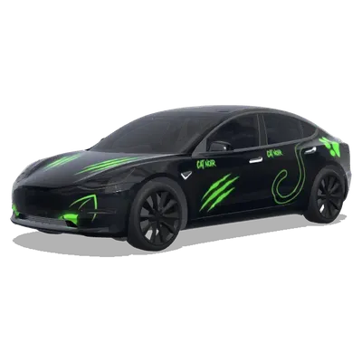 카트 누아르 디자인 (ichbraucheeincatnoirdesign) – 테슬라 Model 3 랩핑