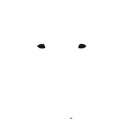 碳纖維後視鏡首發（Launch w carbon rmirrors） – 特斯拉 Model Y 塗裝