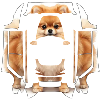 博美犬（Pomeranian） – 特斯拉 Model 3 塗裝