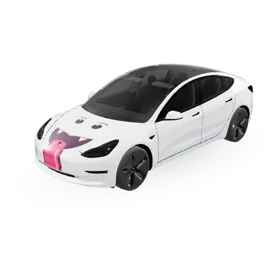 부 허브 (Buu Hub) – 테슬라 Model 3 랩핑