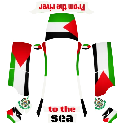 Drapeau Palestine (palestine) – covering Tesla Model Y