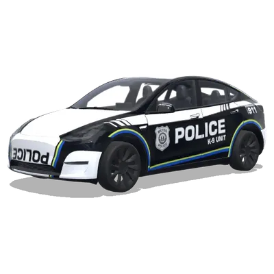Метро К-9: полицейская оклейка – оклейка Tesla Model Y