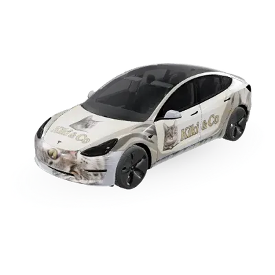 유유 (油油) – 테슬라 Model 3 랩핑