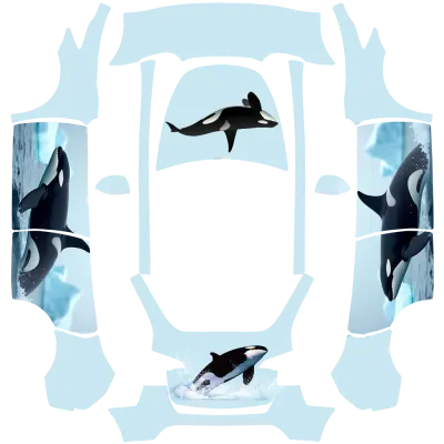 Orca – Tesla Model Y Wrap