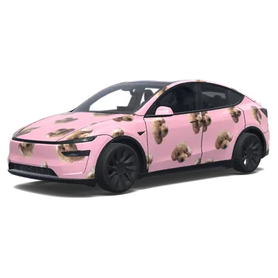 Hundegesicht Erdbeermilch – Tesla Model Y Wrap