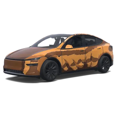 Cat face as the front. Girl in the windshield – Tesla Model Y wrap