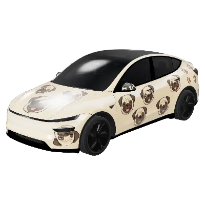 퍼그 라이프 (Pug Life) – 테슬라 Model Y 랩핑