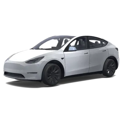 哑光银双人像 – 特斯拉 Model Y 涂装