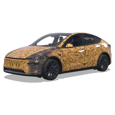 골든 퍼 테슬라 랩 – 테슬라 Model Y 랩핑