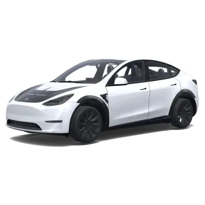 隱形白運動 – 特斯拉 Model Y 塗裝