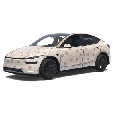 Foto-Referenz Stil – Tesla Model Y Wrap