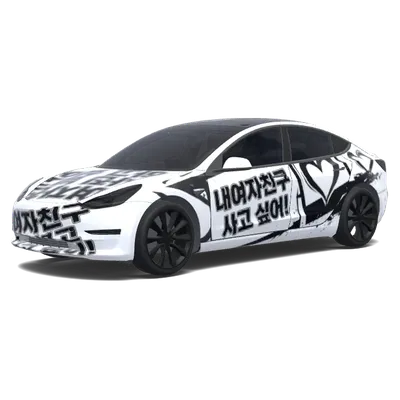 黑色女友照片定製（내여자친구 사진 넣고 하고 싶어!. Colors: black.） – 特斯拉 Model 3 塗裝